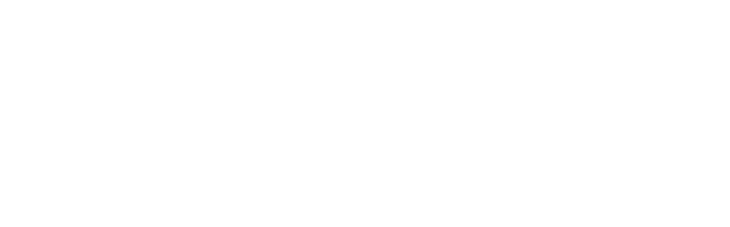 First Insurance Services